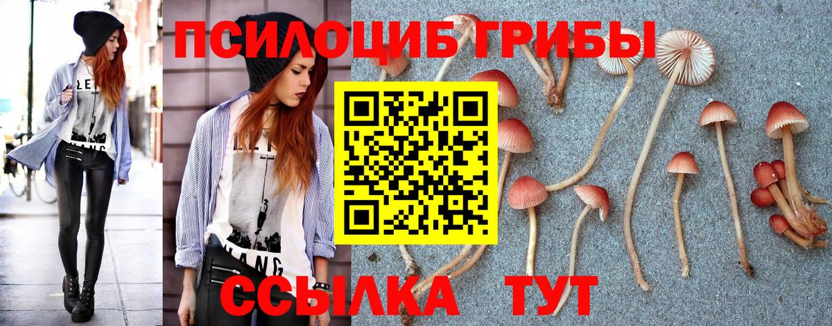 Псилоцибиновые грибы MAGIC MUSHROOMS Волжский