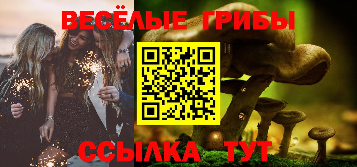 Волжский  где купить   Вход с VPN  Псилоцибиновые грибы MAGIC MUSHROOMS 